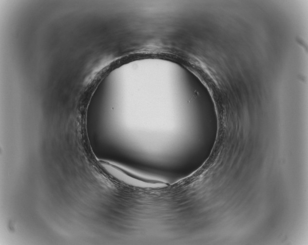 X0000096201304200802011250