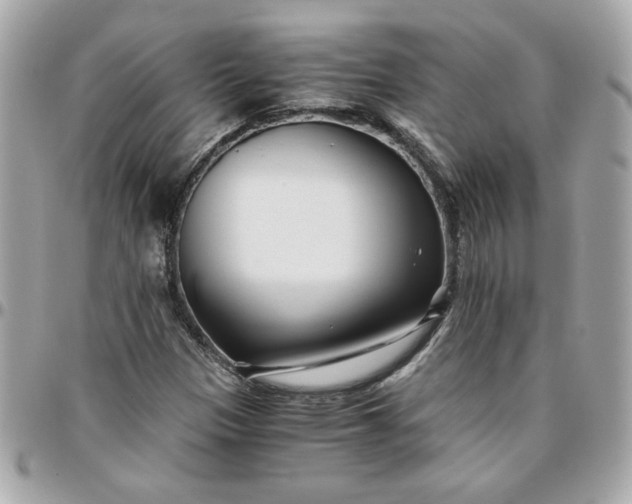 X0000096201305200802011250