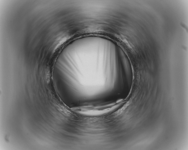 X0000096201306200802011250