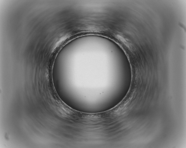 X0000096201307200802011251