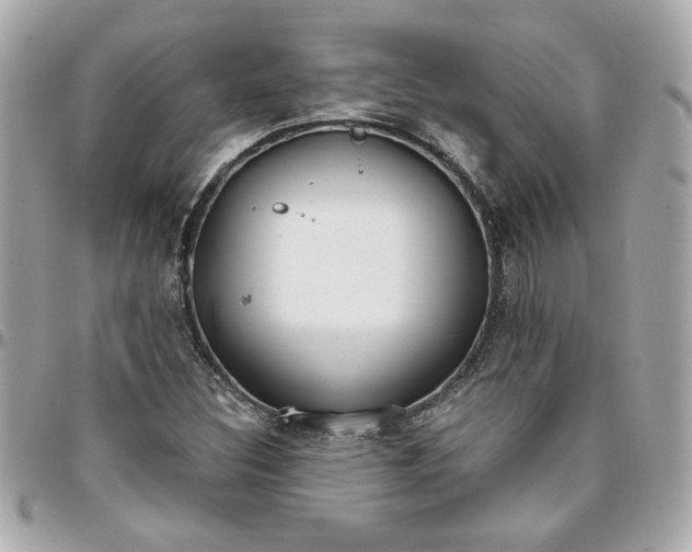 X0000096201308200802011251