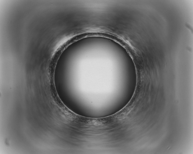 X0000096201311200802011251