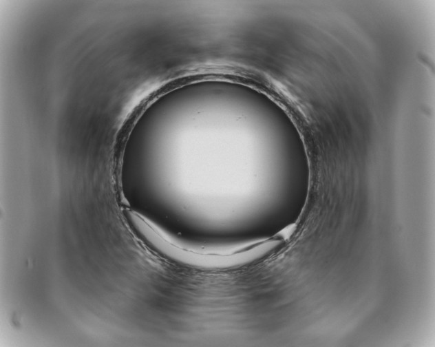 X0000096201312200802011251