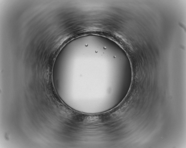 X0000096201313200802011251