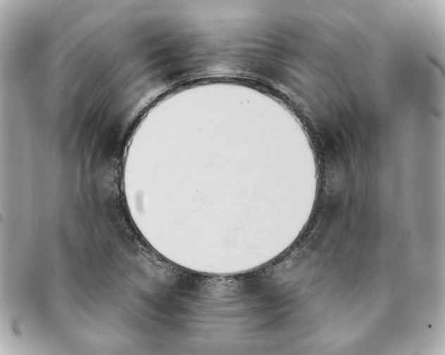 X0000096201314200802011251