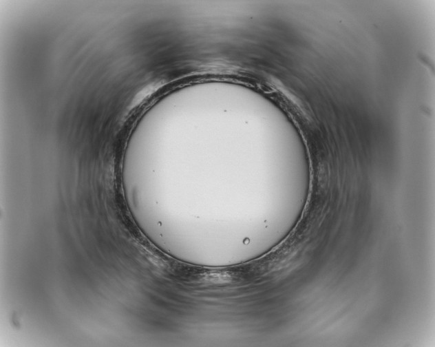 X0000096201315200802011251