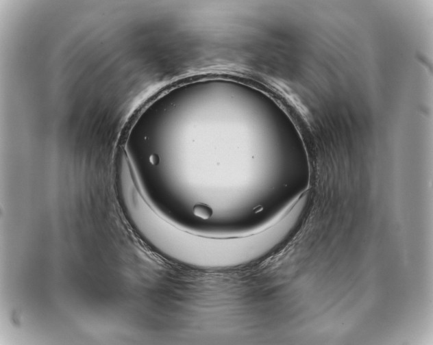 X0000096201316200802011251