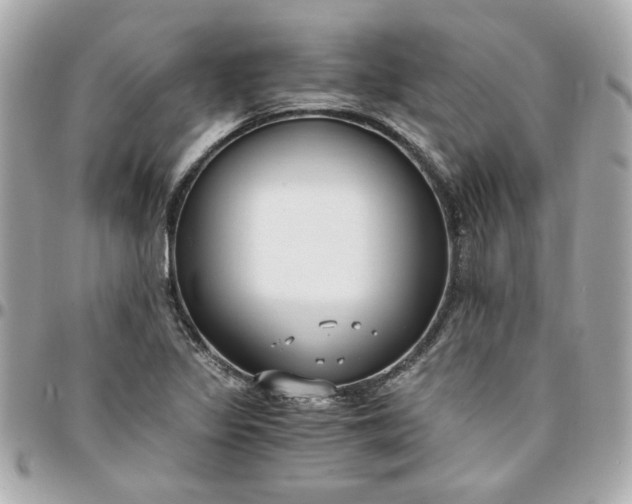 X0000096201317200802011251