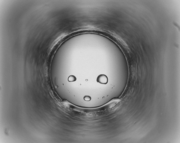 X0000096201318200802011251