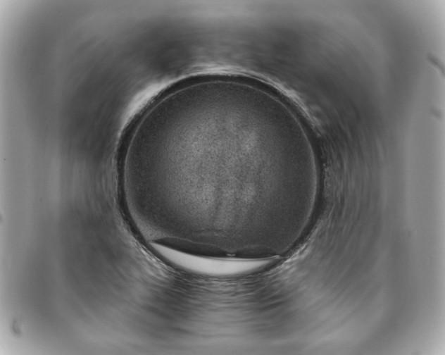 X0000096201319200802011251