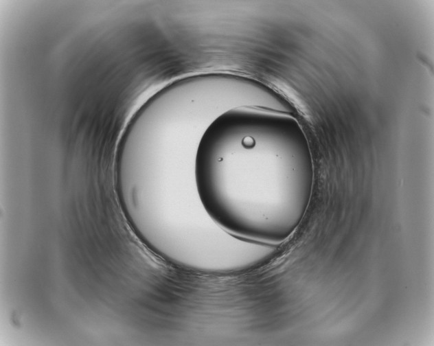 X0000096201324200802011251