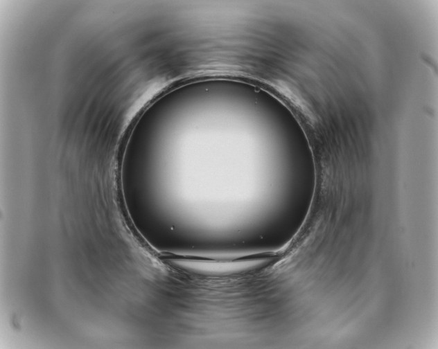 X0000096201325200802011251