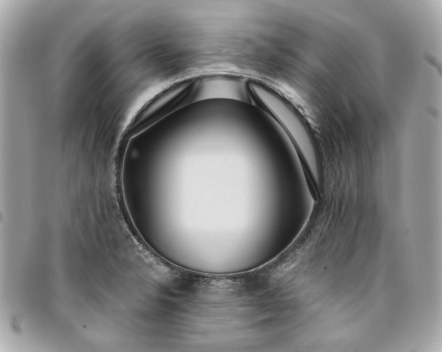 X0000096201326200802011251