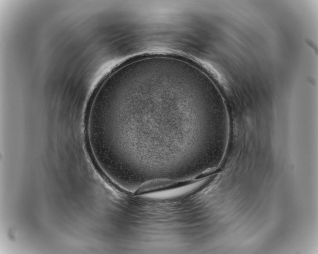 X0000096201327200802011251