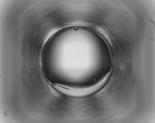 X0000096201328200802011251