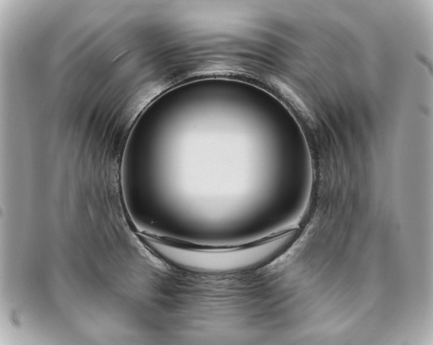 X0000096201329200802011251