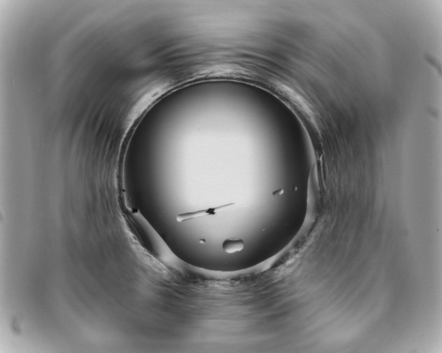 X0000096201330200802011251