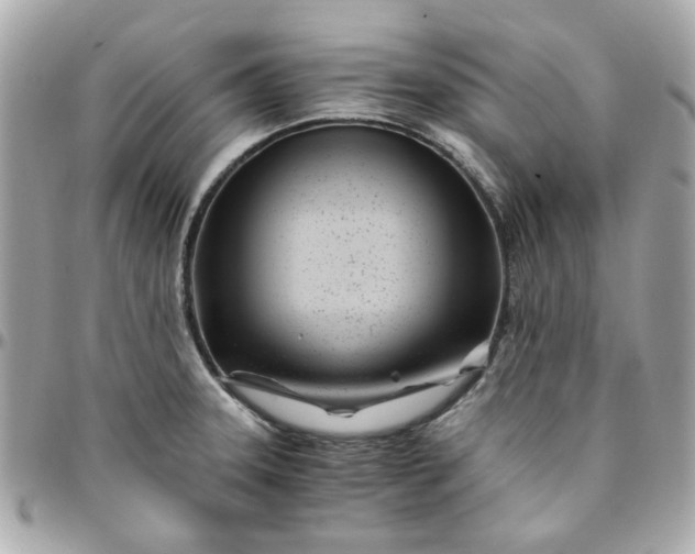 X0000096201331200802011251