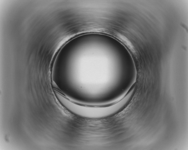 X0000096201332200802011251