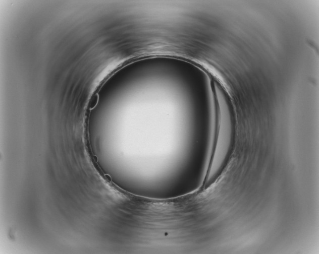 X0000096201333200802011251