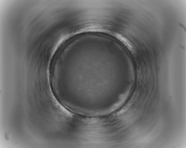 X0000096201334200802011251