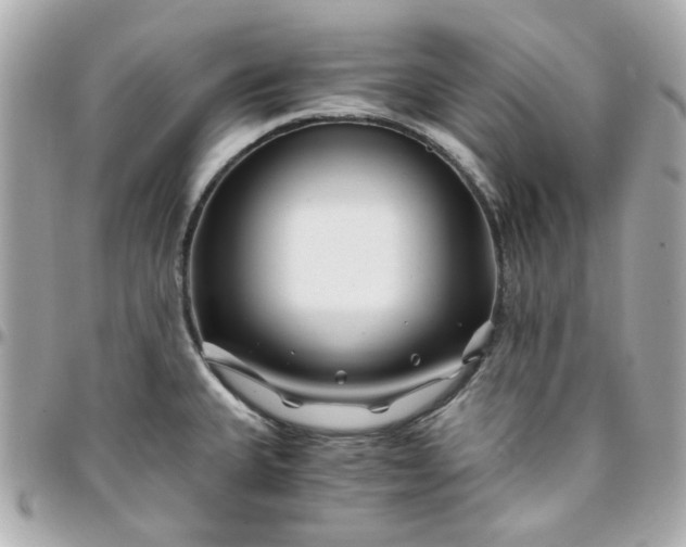 X0000096201335200802011251