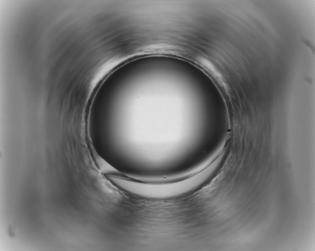 X0000096201336200802011251