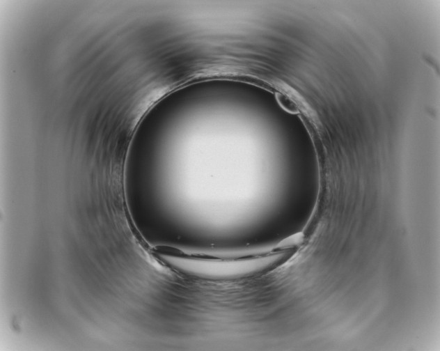 X0000096201337200802011251