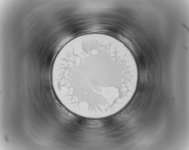 X0000096201338200802011251