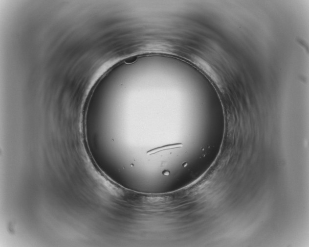 X0000096201339200802011251