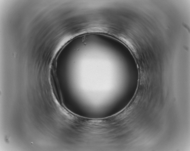 X0000096201342200802011251