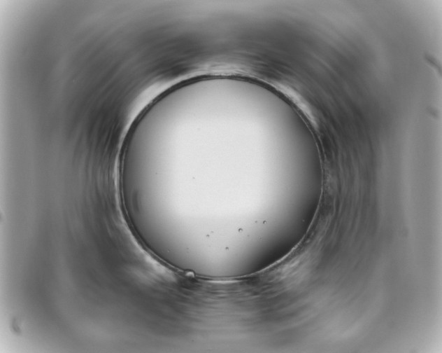 X0000096201343200802011251