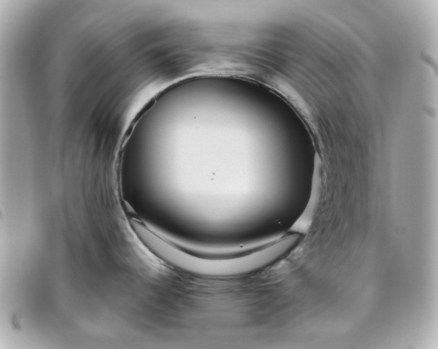 X0000096201344200802011251