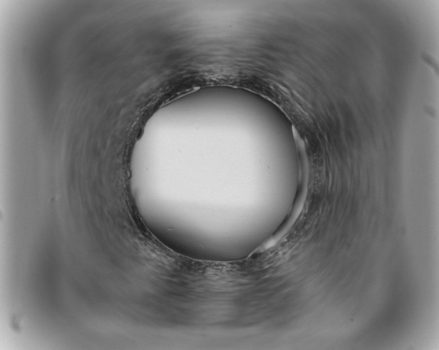 X0000096201345200802011250