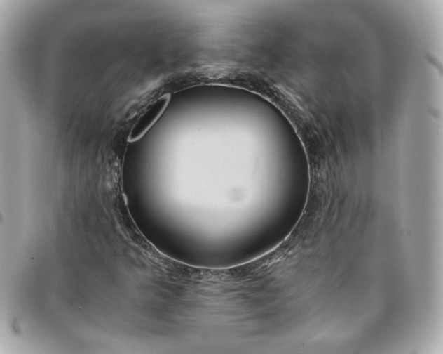 X0000096201349200802011250