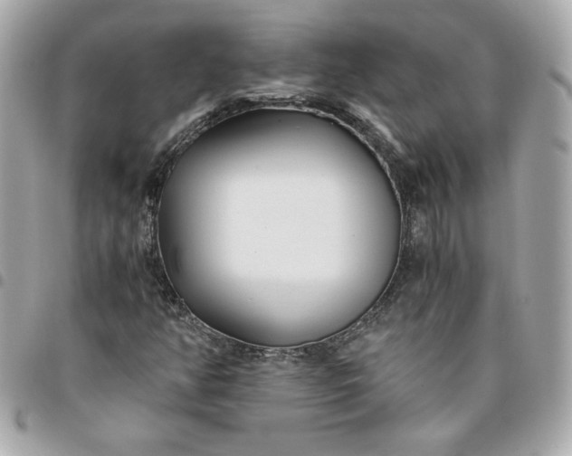 X0000096201350200802011250