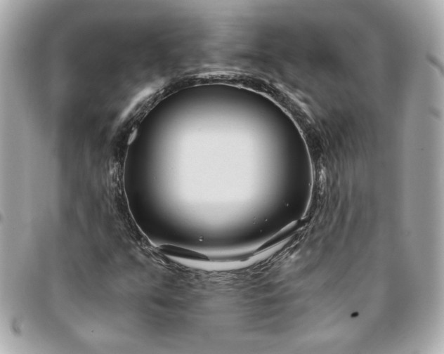 X0000096201351200802011250