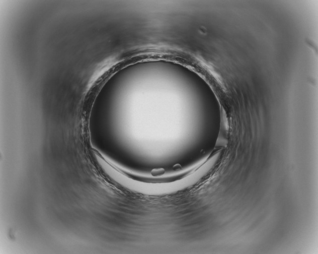 X0000096201352200802011250