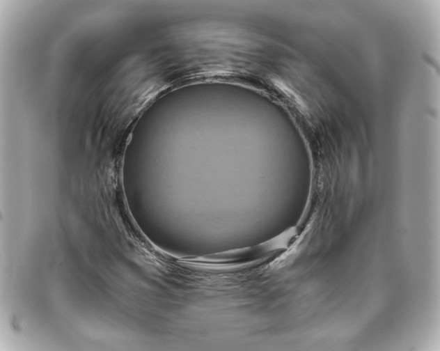 X0000096201353200802011250