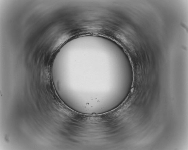 X0000096201354200802011250