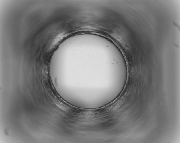 X0000096201355200802011250