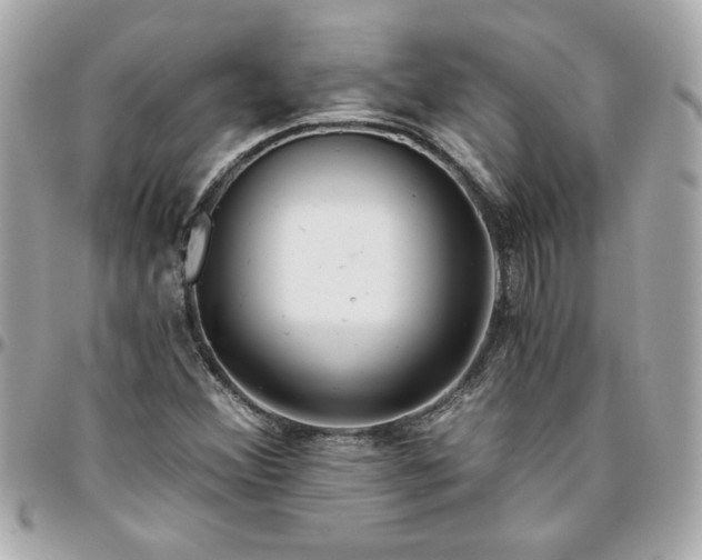 X0000096201356200802011250