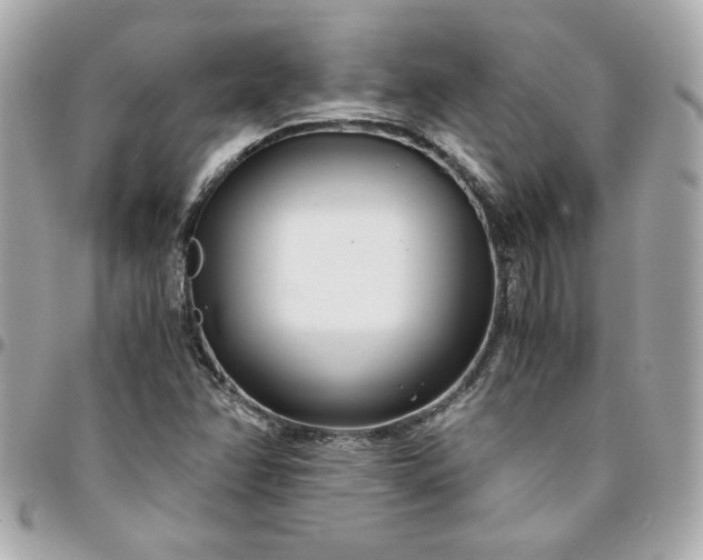 X0000096201358200802011250