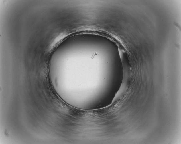 X0000096201359200802011250