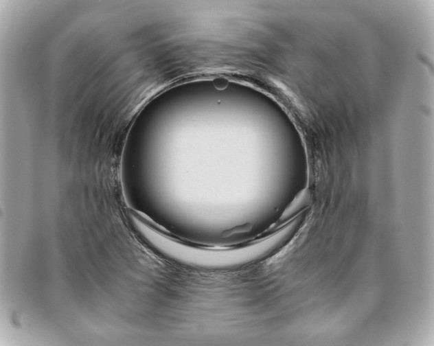 X0000096201361200802011250