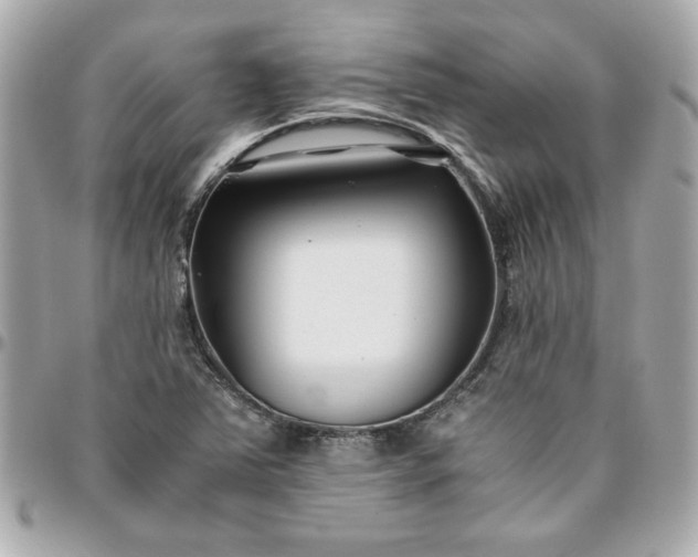 X0000096201363200802011250