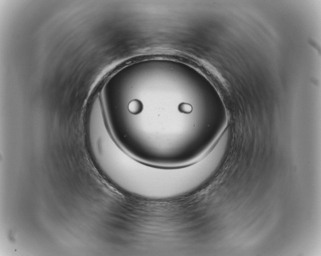 X0000096201364200802011250