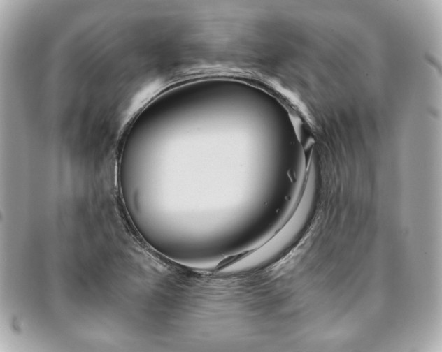 X0000096201365200802011250