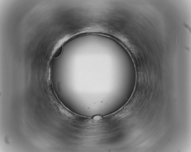 X0000096201366200802011250