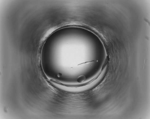 X0000096201367200802011250